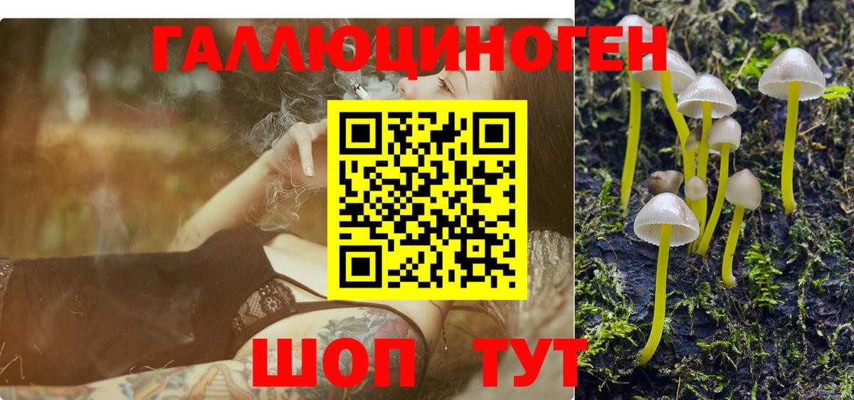 Псилоцибиновые грибы GOLDEN TEACHER Екатеринбург